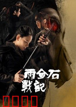 雨金石战记：命运之石争夺战