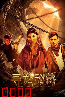 寻龙秘藏：盗墓夺宝传奇