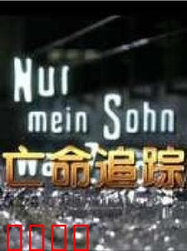 亡命追踪：绝境反击