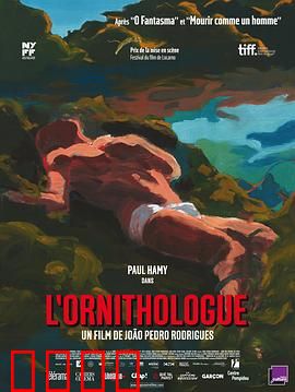 鸟类学家：神秘森林奇遇