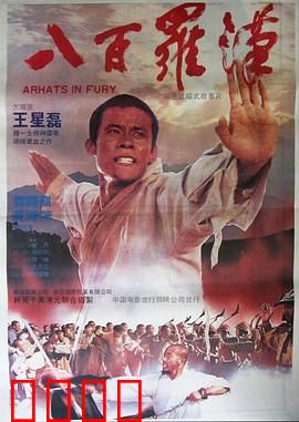 八百罗汉：武僧血战金兵