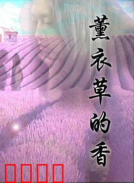薰衣草的香：遗忘与重逢