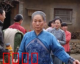 野茱萸：乡村女性的抗争