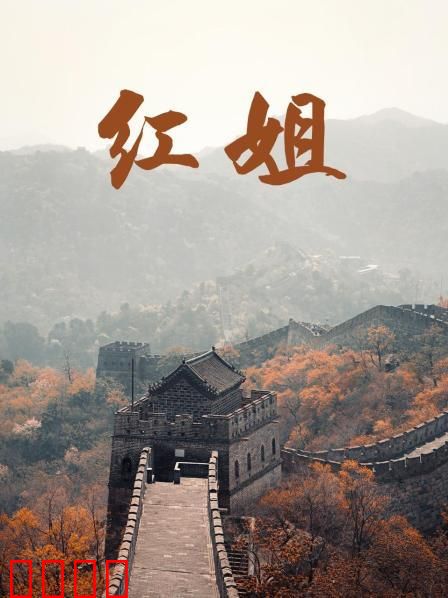 红姐2017：卧底风云