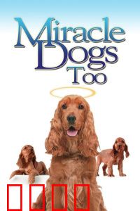 天降神犬2：神犬归来