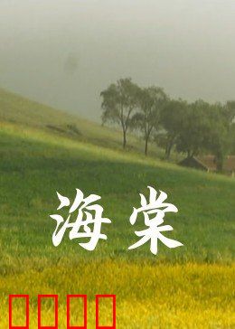 海棠：花语救赎