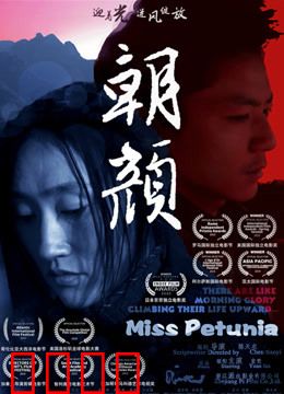 朝颜：乡村女性的坚韧