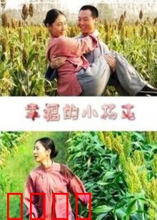 幸福的小杨屯：乡村蜕变记