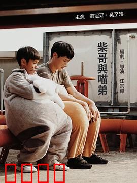 柴哥与喵弟：暖心共处