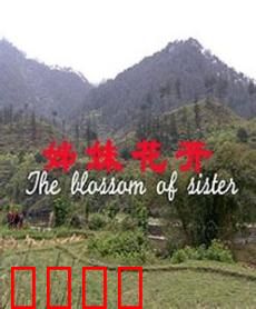 姊妹花开：逆风绽放