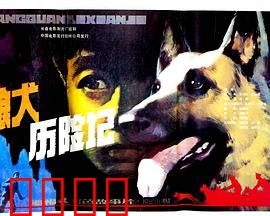 狼犬历险记：忠诚伙伴的惊险旅程