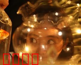 樓上樓下：楼上的秘密