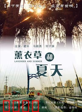 薰衣草和夏天：紫色爱恋
