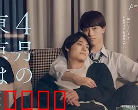 4月的东京…：樱花下的相遇