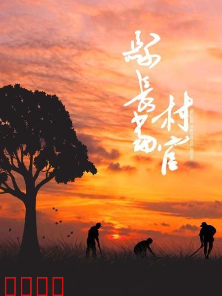 县长当村官：接地气的蜕变