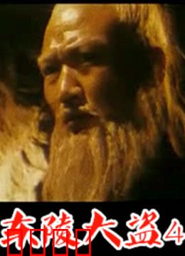 东陵大盗：国宝浩劫