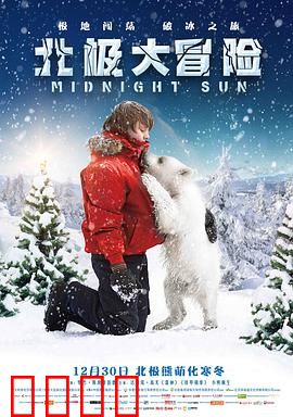 北极大冒险：冰雪奇缘