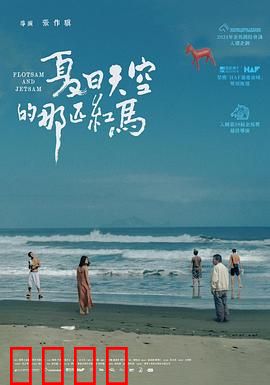 夏日天空的那匹红马 夏日天空的那匹紅馬：青春与自由