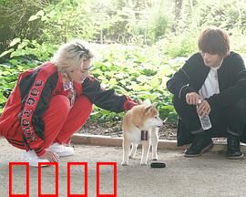 难破MG5特别篇：不良少年的终极抉择