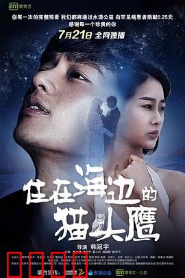 住在海边的猫头鹰：孤独治愈之旅