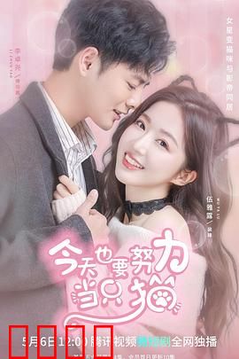 今天也要努力当只猫：逆袭喵生