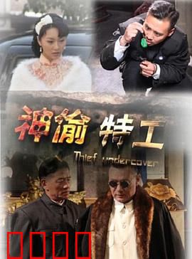 神偷特工：致命密码任务