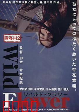 青春H2之狂野之花：叛逆少女的逆袭