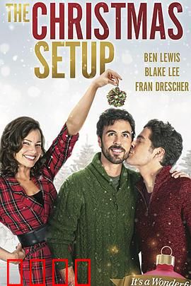 圣诞速配：真爱不期而遇