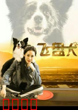 飞盘犬：人与犬的默契传奇