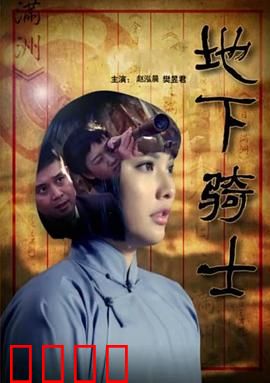 地下骑士：暗夜复仇