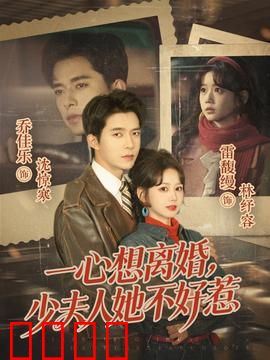 一心想离婚，少夫人她不好惹：霸气复仇