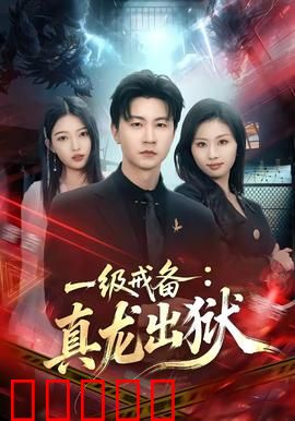 一级戒备：特工危机